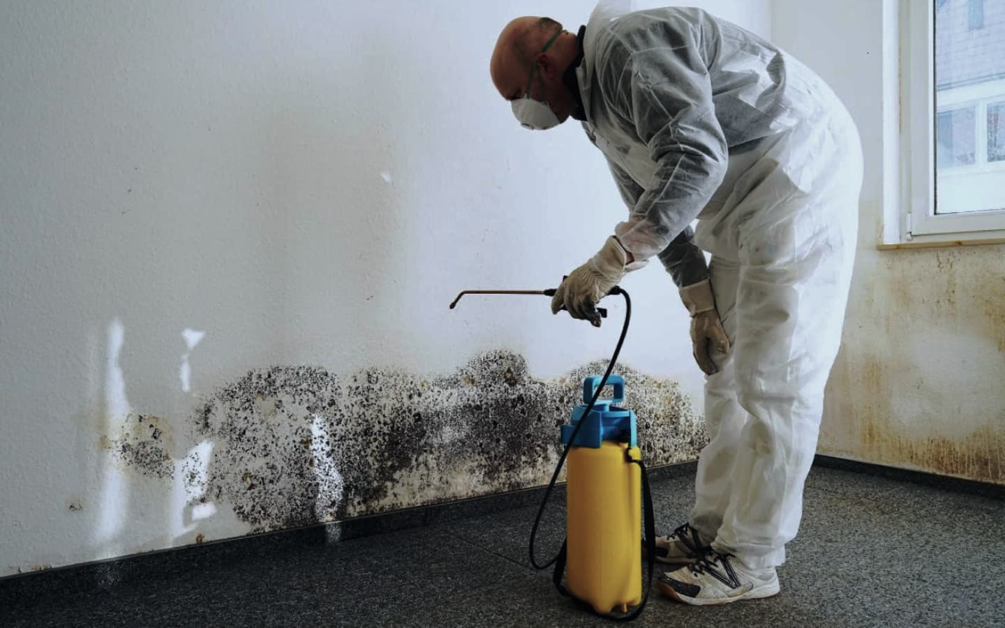 Mold contractor spraying mold spores on a wall