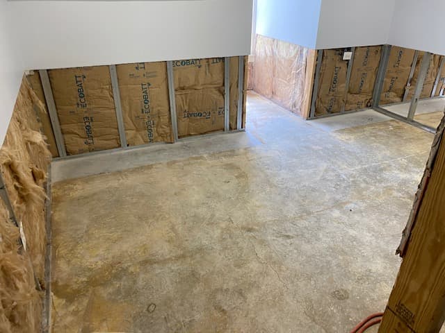 Drywall cut from water damage and mold growth