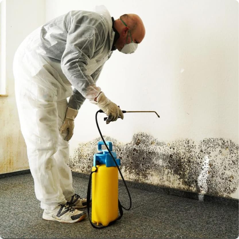 Mold contractor spraying mold spores on wall